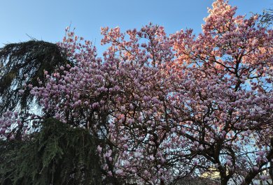 pielgrzymka