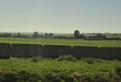 pielgrzymka