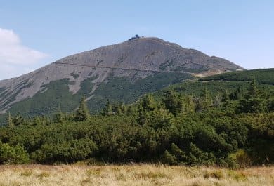 pielgrzymka