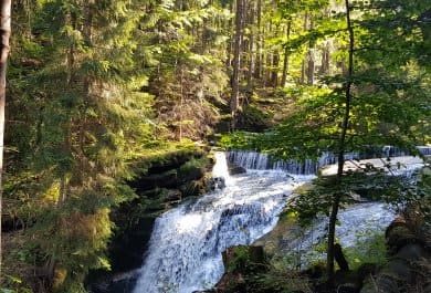 pielgrzymka