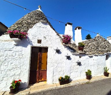 Rzym i San Giovanni Rotondo 24.04-02.05.2026 r.  Majówka 2026 r.