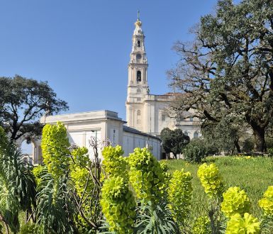 pielgrzymka do lourdes